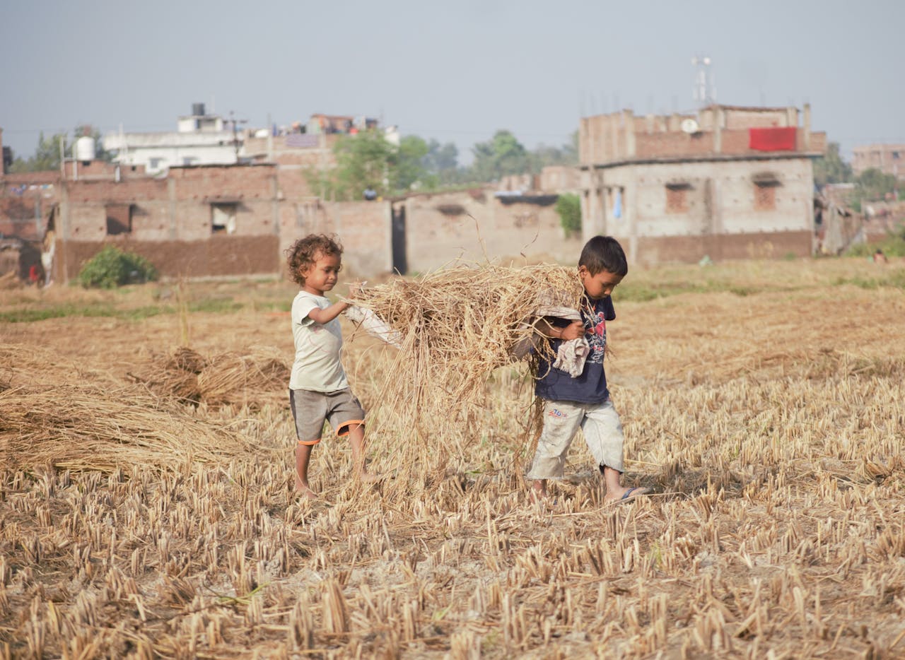 Two children carrying hay in an agricultural field in Barh, India, during summer.